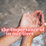 What Is Importance Of Water In Our Lives 5 Indispensable Aspects Of Life?